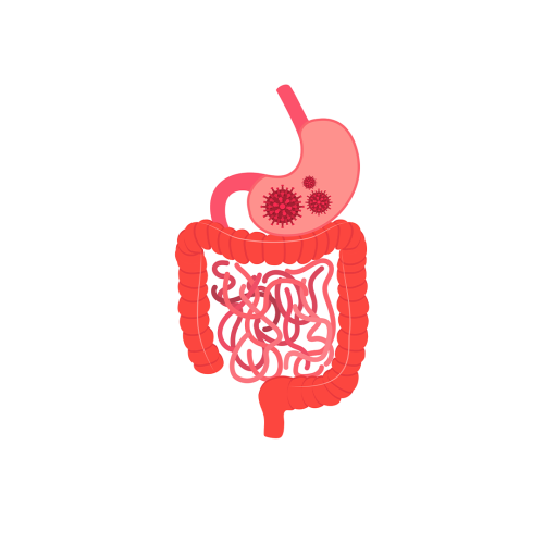 Leaky Gut